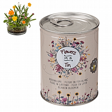 Λουλούδια σε κονσέρβα