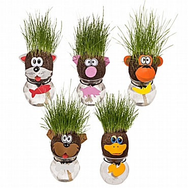 Κεφάλι με γρασίδι - Ζωάκια