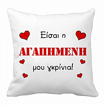 Μαξιλάρι Είσαι η αγαπημένη μου γκρίνια 28 εκ