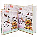 Σετ βιβλίων μυστικές θήκες - Ποδήλατο