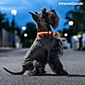 Κολάρο σκύλου με φωτισμό led 