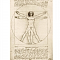 Παζλ Bluebird Leonardo Da Vinci - The Vitruvian Man - 1000 τεμ.