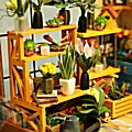 Ξύλινη DIY κατασκευή Cathy's Flower house - Robotime
